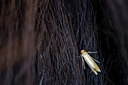 BUITEN BEELD Foto: 411785