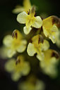 BUITEN BEELD Foto: 411793