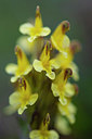 BUITEN BEELD Foto: 411818