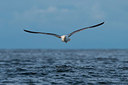 BUITEN BEELD Foto: 411950