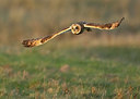BUITEN BEELD Foto: 412096