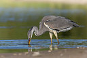 BUITEN BEELD Foto: 412278