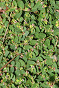 BUITEN BEELD Foto: 412307