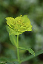 BUITEN BEELD Foto: 412333
