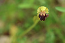 BUITEN BEELD Foto: 412340