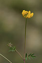 BUITEN BEELD Foto: 412356