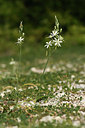 BUITEN BEELD Foto: 412363