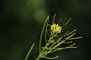 BUITEN BEELD Foto: 412385