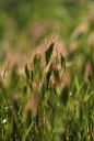 BUITEN BEELD Foto: 412390