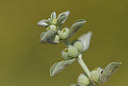 BUITEN BEELD Foto: 412400