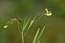 BUITEN BEELD Foto: 412420