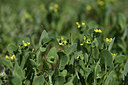 BUITEN BEELD Foto: 412421