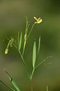BUITEN BEELD Foto: 412428