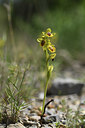 BUITEN BEELD Foto: 412436