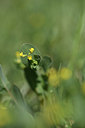 BUITEN BEELD Foto: 412438