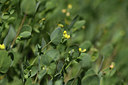 BUITEN BEELD Foto: 412443