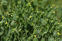 BUITEN BEELD Foto: 412460