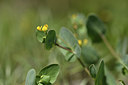 BUITEN BEELD Foto: 412494