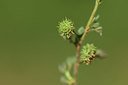 BUITEN BEELD Foto: 412499