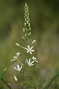 BUITEN BEELD Foto: 412504