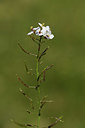 BUITEN BEELD Foto: 412512