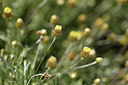 BUITEN BEELD Foto: 412514