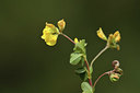 BUITEN BEELD Foto: 412523