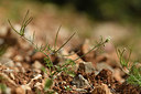 BUITEN BEELD Foto: 412527
