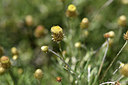 BUITEN BEELD Foto: 412530