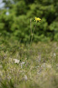 BUITEN BEELD Foto: 412546