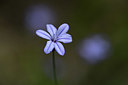 BUITEN BEELD Foto: 412552