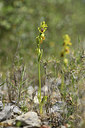 BUITEN BEELD Foto: 412557