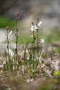 BUITEN BEELD Foto: 412559