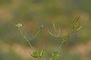 BUITEN BEELD Foto: 412560