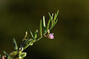 BUITEN BEELD Foto: 412567