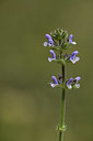 BUITEN BEELD Foto: 412569