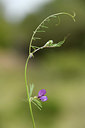 BUITEN BEELD Foto: 412573
