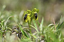 BUITEN BEELD Foto: 412574