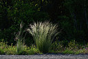 BUITEN BEELD Foto: 412583