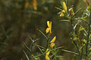 BUITEN BEELD Foto: 412613
