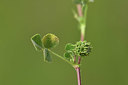 BUITEN BEELD Foto: 412624
