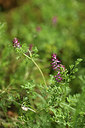 BUITEN BEELD Foto: 412659