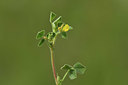 BUITEN BEELD Foto: 412683