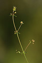 BUITEN BEELD Foto: 412685