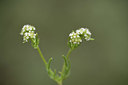 BUITEN BEELD Foto: 412693