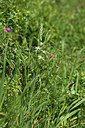 BUITEN BEELD Foto: 412735