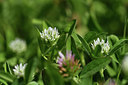 BUITEN BEELD Foto: 412753