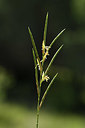 BUITEN BEELD Foto: 412765