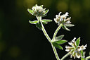 BUITEN BEELD Foto: 412770