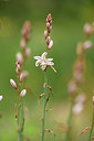 BUITEN BEELD Foto: 412781